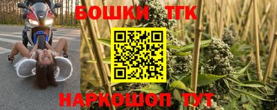 МДПВ Заводоуковск