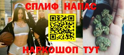 МДПВ Заводоуковск