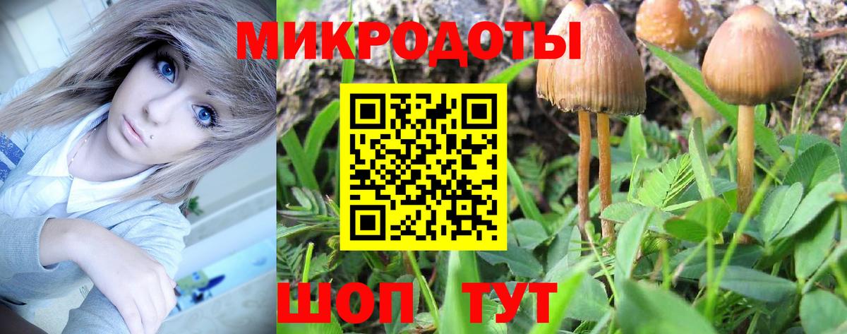 Горно-Алтайск  купить  цена  Вход с VPN  Галлюциногенные грибы ЛСД 