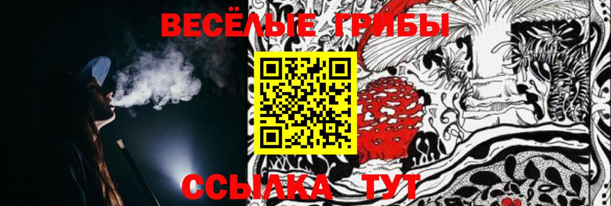 Псилоцибиновые грибы прущие грибы Горно-Алтайск